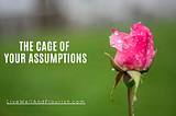The Cage of Your Assumptions