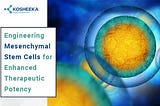 Engineering Mesenchymal Stem Cells