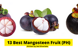 13 Best Mangosteen Fruit Philippines 2022 (w/ Free Discount)