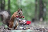 a squirrel in the woods pushing a shopping cart full of nuts
