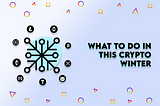 What To Do In This Crypto Winter