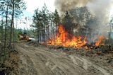 How to Utilize Prescribed Burn Techniques