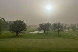Strange Weather! Roller Coaster Spring, Bentgrass Off-Color, Poa Seedheads and an Award