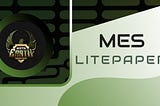 Meta Earth Service Litepaper