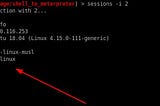 [Metasploit]Upgrade Normal Shell To Meterpreter Shell