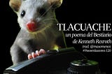 Tlacuache, un poema del Bestiario de Kenneth Rexroth, trad. Javier Norberto Muñoz Palacios