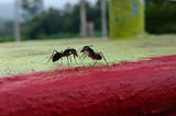 Let’s talk about - Promoting Software is Tougher than Promoting Anything Else