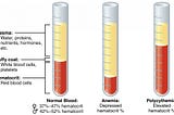 Blood processing and analysis