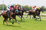 Some Common Joint Diseases in Horses