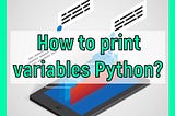 How to print variables python