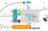 ForEarth — How to involve citizen in environmental issues with EO?