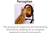 🔥 PEACE AND CONFLICT ARE CORELY PRODUCTS OF MULTI-DIMENSIONAL HUMAN PERCEPTIONS