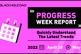 BlackHoleDAO Progress Weekly Report