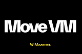 The MoveVM: A New Era of Blockchain Precision and Safety