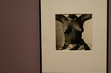 The Photographs of Irving Penn