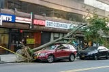 After Tropical Storm Isaias: Fence down in “Key Food Memorial Park,” tree still on top of car, and…