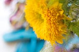 summer bright yellow lion sunflower close-up, turquoise flip-flops, beach towel | © pockett dessert