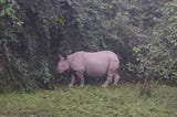 Kaziranga — Land of the Big 5