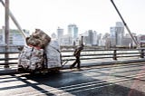 A Gentle Integration: Johannesburg Waste Pickers and Gauteng Government