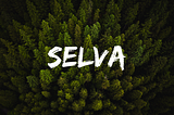 Welcome to the Selva