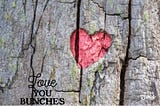 Photo of a large grayish tree trwith a red heart engraved and a split down the edge of the heart. Words are Love you bunches