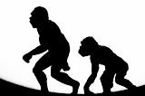 Why Our Ancestors Started to Walk on Two Feet