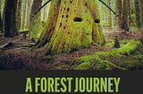 The book cover for ‘A Forest Journey: The Role of Trees in the Fate of Civilization’ by author John Perlin.