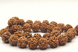A Rudraksha Mala Specimen woven in Red Thread with 5 Mukhi Rudraksha woven neatly in Red Silk Thread