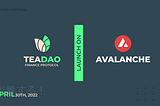 What makes Avalanche the place to be for TeaDAO Finance?