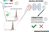 Drug Discovery With Neural Networks