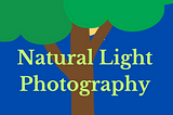 Graphic of Natural Light Photography