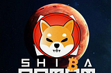 THE SHIB MOVEMENT