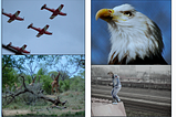 A Survey of Deep learning based Object detection models