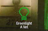 Why the Greenlight A Vet initiative is so important.