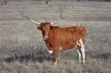 Explore Longhorn Cloud Native Storage on OpenShift