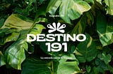 Destino 191: El renacer de Naguabo y la entrada sur al Yunque