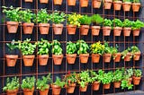 Sustainable Development: Vertical Gardening and Green Buildings