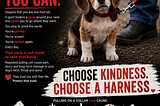 THEY WOULD CHOOSE KINDNESS IF THEY COULD CHOOSE AT ALL