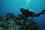 How Scuba Diving Changed Me