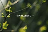 The stories behind Awakening…