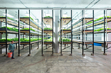 Can New Tech Finally Get Urban Farming Off the Ground?