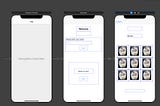 Catch the Poki app storyboard version 1 with 2 view controllers