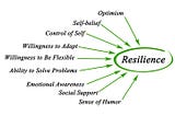 What Is a Culture of Resilience?