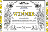 My First NaNoWriMo Win
