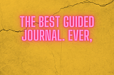 This is the best Guided Journal EVER!