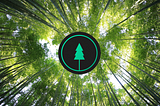 Single Earth: Blockchain-Based Carbon Offsets With Forests