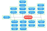 Career paths for Business Analysts