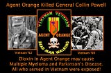 Was Agent Orange (Dioxin) Exposure in Vietnam a Contributing Factor in General Powell’s Death?