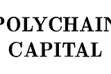 ♠️ Polychain Capital crypto portfolio breakdown