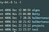 Discovering the Inner Workings of Typing “ls -l” in the Shell